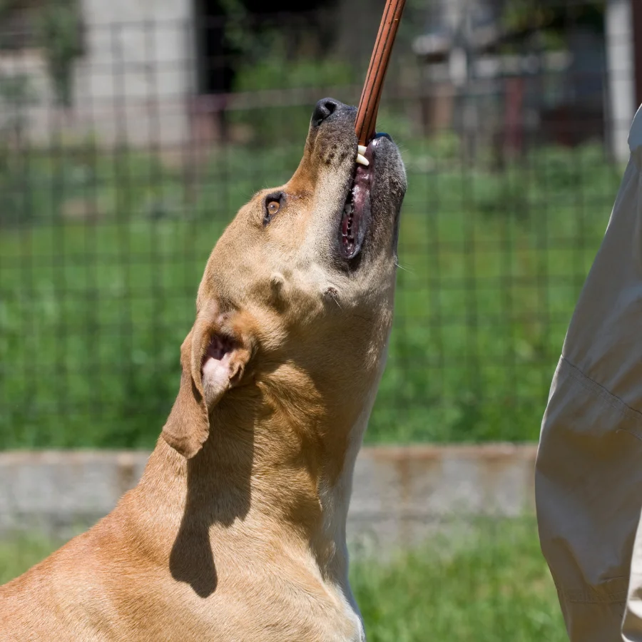 Untitled design (48)