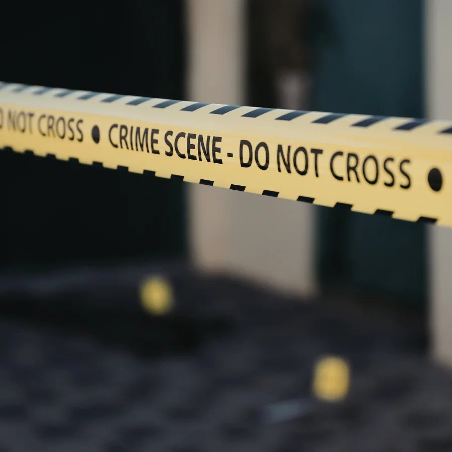 Untitled design (52)